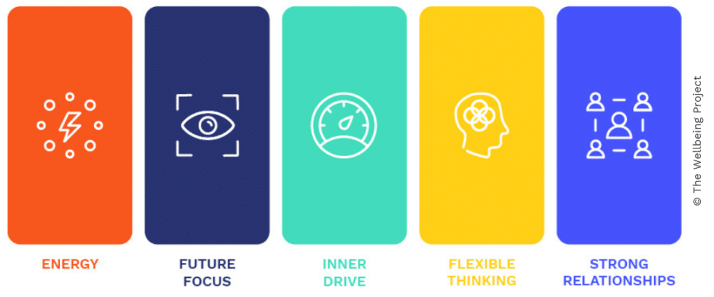 The 5 Pillars of Resilience model