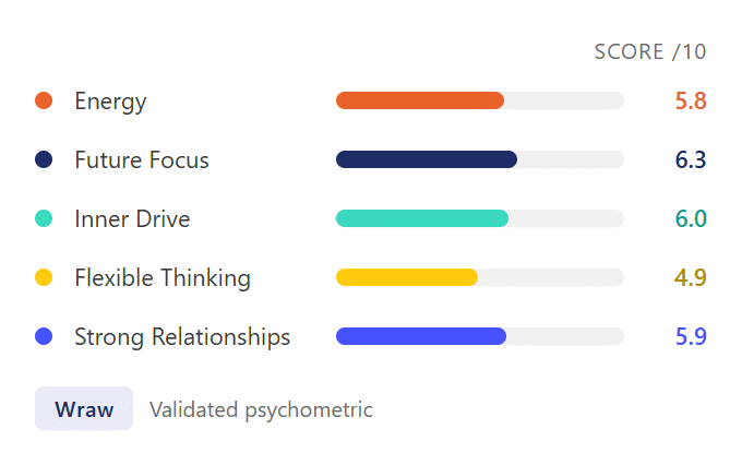 The 5 Pillars of Resilience sten scores